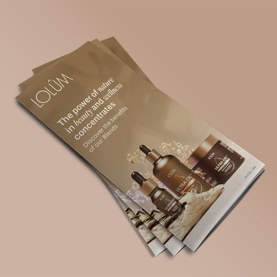 Flyer Lolûm Chogan en anglais, vue de face