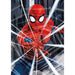 Puzzle Marvel Spiderman 500 pièces par EDUCA BORRAS avec image colorée du super-héros en action