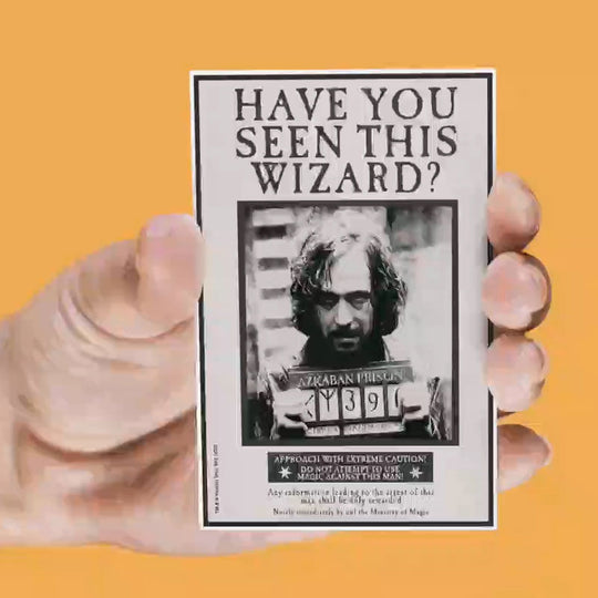 Magnet lenticulaire SD TOYS montrant une scène iconique de Harry Potter en action