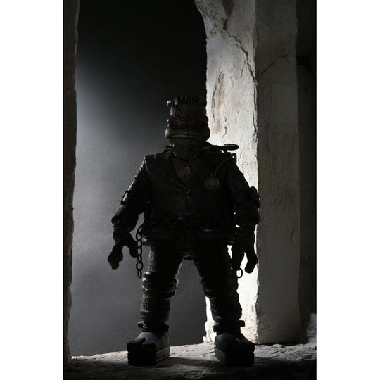 Packaging officiel NECA de la figurine Raphael Monstre de Frankenstein avec logo et illustrations