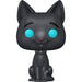 Packaging original de la figurine Funko POP Luck Bob avec logo FUNKO et design attractif