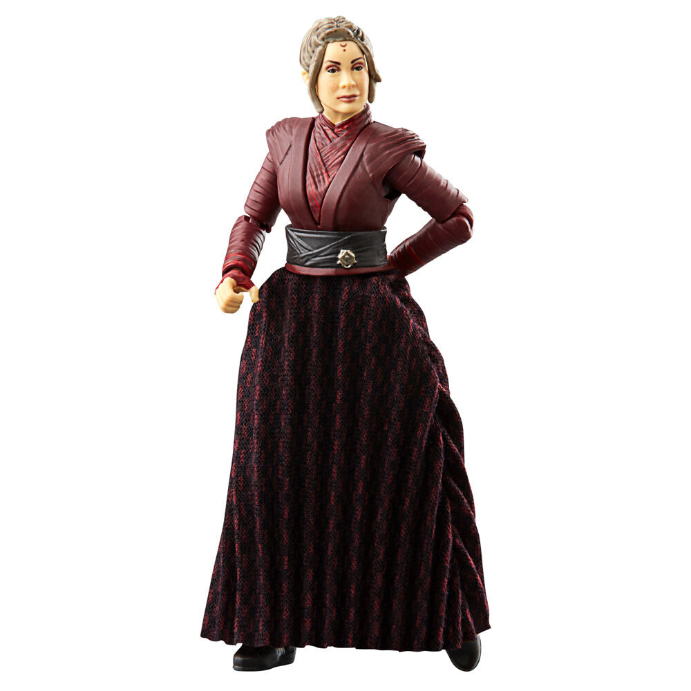 Détail des accessoires inclus avec les figurines Star Wars Black Series
