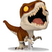 Vue rapprochée de la figurine Funko POP Atrociraptor Tiger exclusive Jurassic World montrant les détails du design