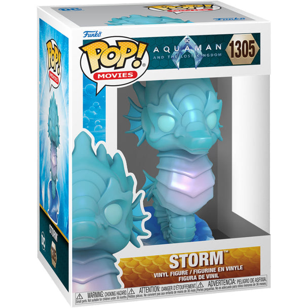 Vue de face de la figurine Funko POP Storm avec détails précis et couleurs vives du personnage DC Comics