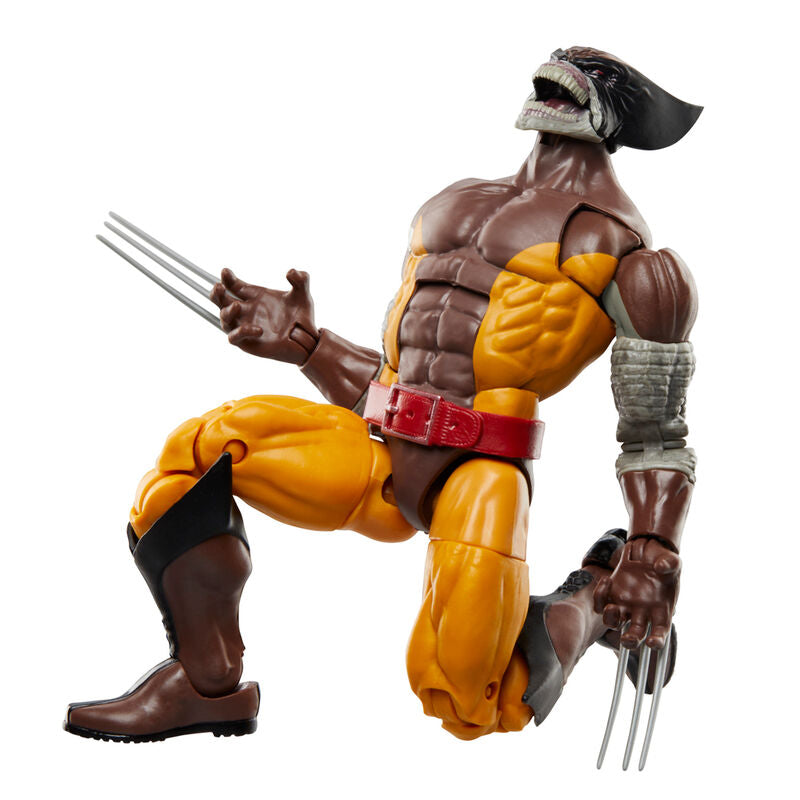 Vue rapprochée des détails du costume et accessoires de la figurine Lilandra Neramani