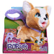 Peluche FurReal Poopalots Corgi vue de face avec ses couleurs noir, blanc et brun clair, prête pour une promenade.