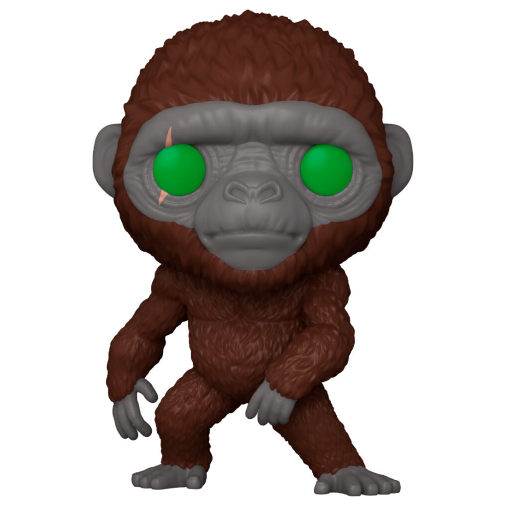 Figurine Funko POP Godzilla The New Empire en vinyle de 9 cm dans sa boîte cadeau officielle FUNKO.