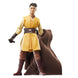 Emballage officiel HASBRO de la figurine Star Wars The Acolyte Jedi Knight Yord Fandar