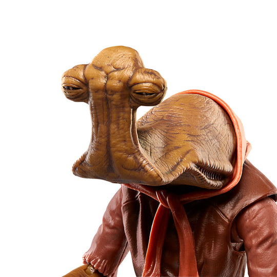 Packaging officiel HASBRO de la figurine Momaw Nadon 15cm Star Wars The Black Series