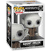 Boîte collector Funko POP Nosferatu 100th Anniversary avec illustration originale
