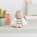 Zoom sur la finition artisanale et les couleurs vives du calendrier perpétuel Pusheen