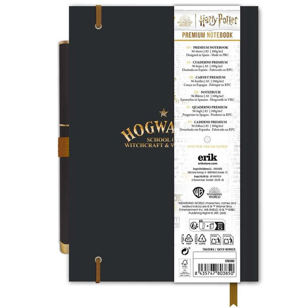 Stylo assorti au cahier Harry Potter Hogwarts, de qualité ERIK, présenté sur fond blanc
