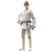 Détail du visage réaliste de la figurine Luke Skywalker HASBRO 9,5 cm