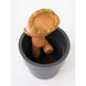 Porte-crayons Groot Marvel utilisé comme pot de fleurs avec plante verte