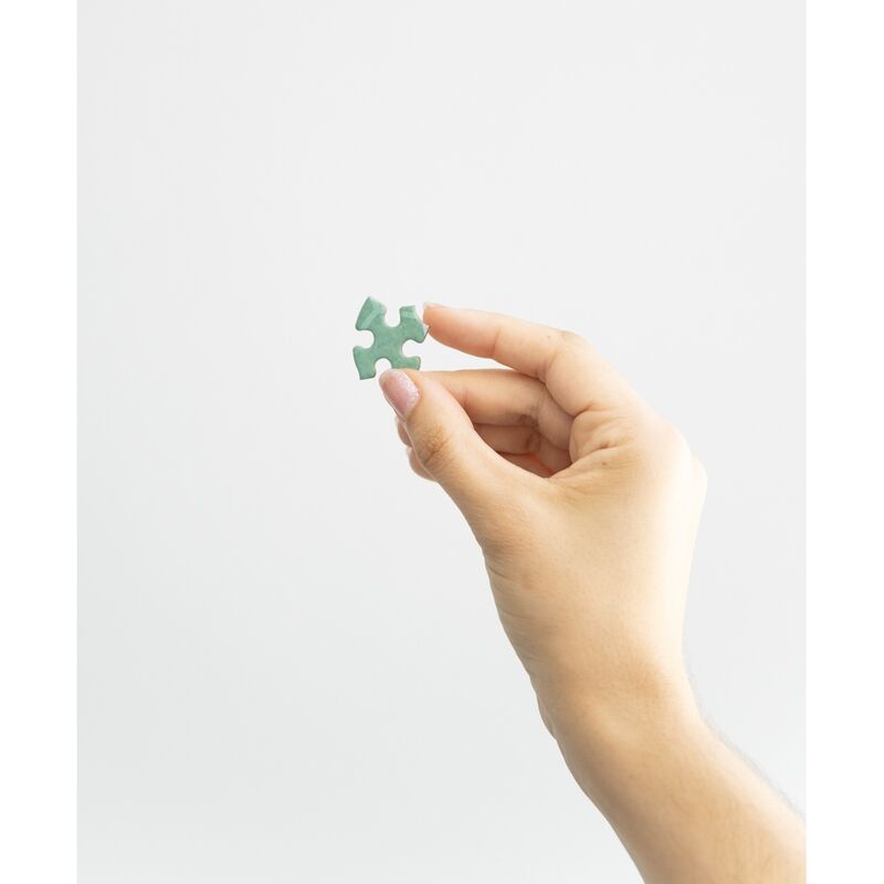 Emballage du puzzle Harry Potter Slytherin avec la bouteille de potion en verre et le logo de la marque ERIK