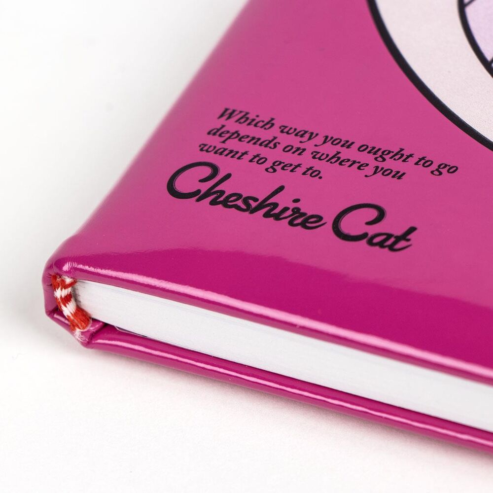 Vue rapprochée du sourire du Cheshire sur la couverture du cahier CERDÁ