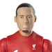 Collection complète avec la figurine Virgil van Dijk et accessoires football