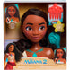 Accessoires variés pour personnaliser les bustes Disney Vaiana et Moana