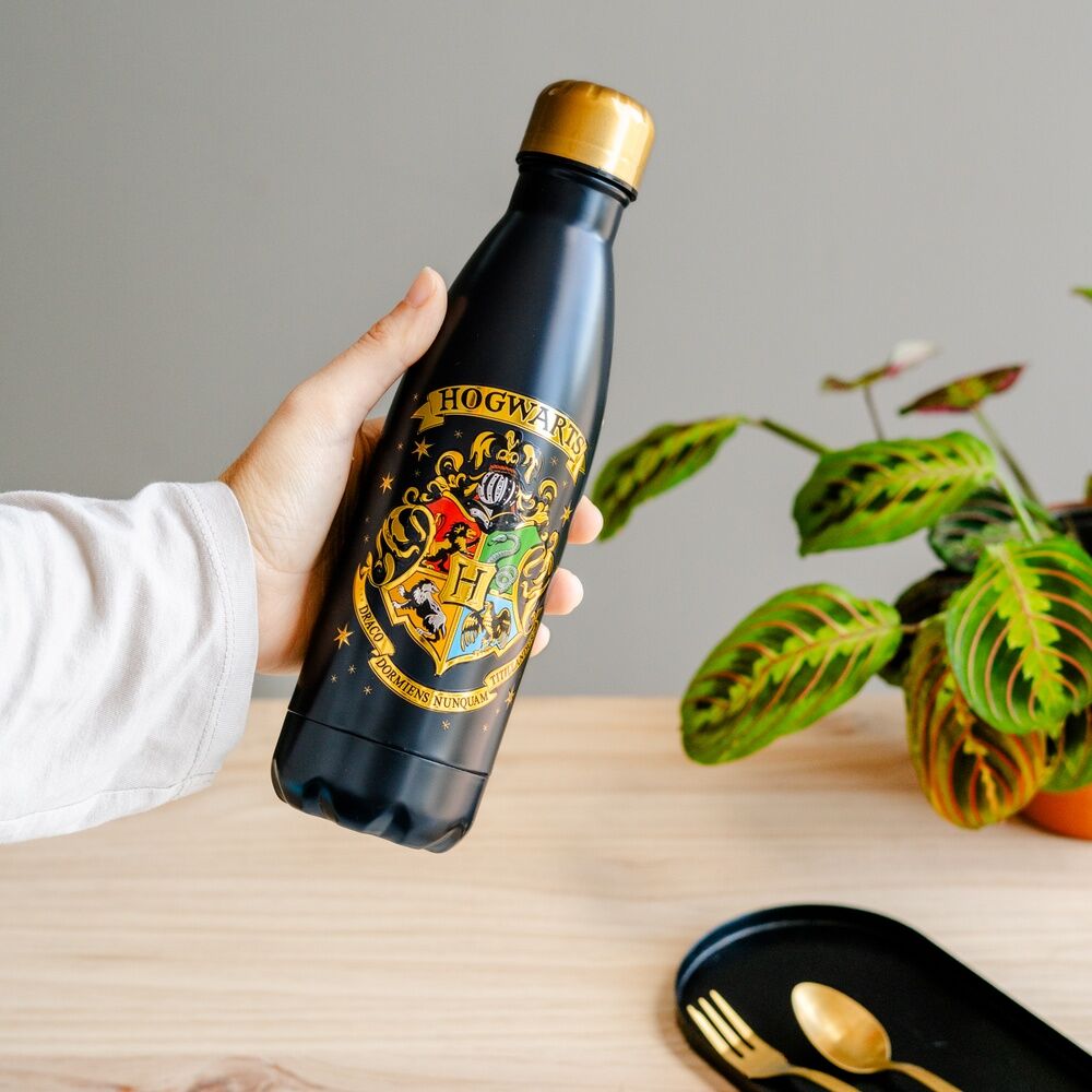 Packaging original de la gourde Harry Potter ERIK prêt à être offert en cadeau