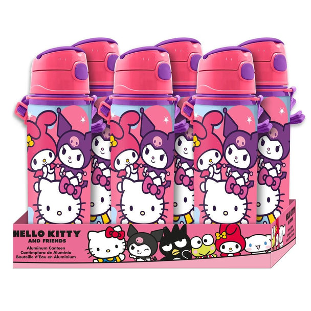 Gourde aluminium Hello Kitty and Friends 600ml avec un design coloré et personnages pour enfants