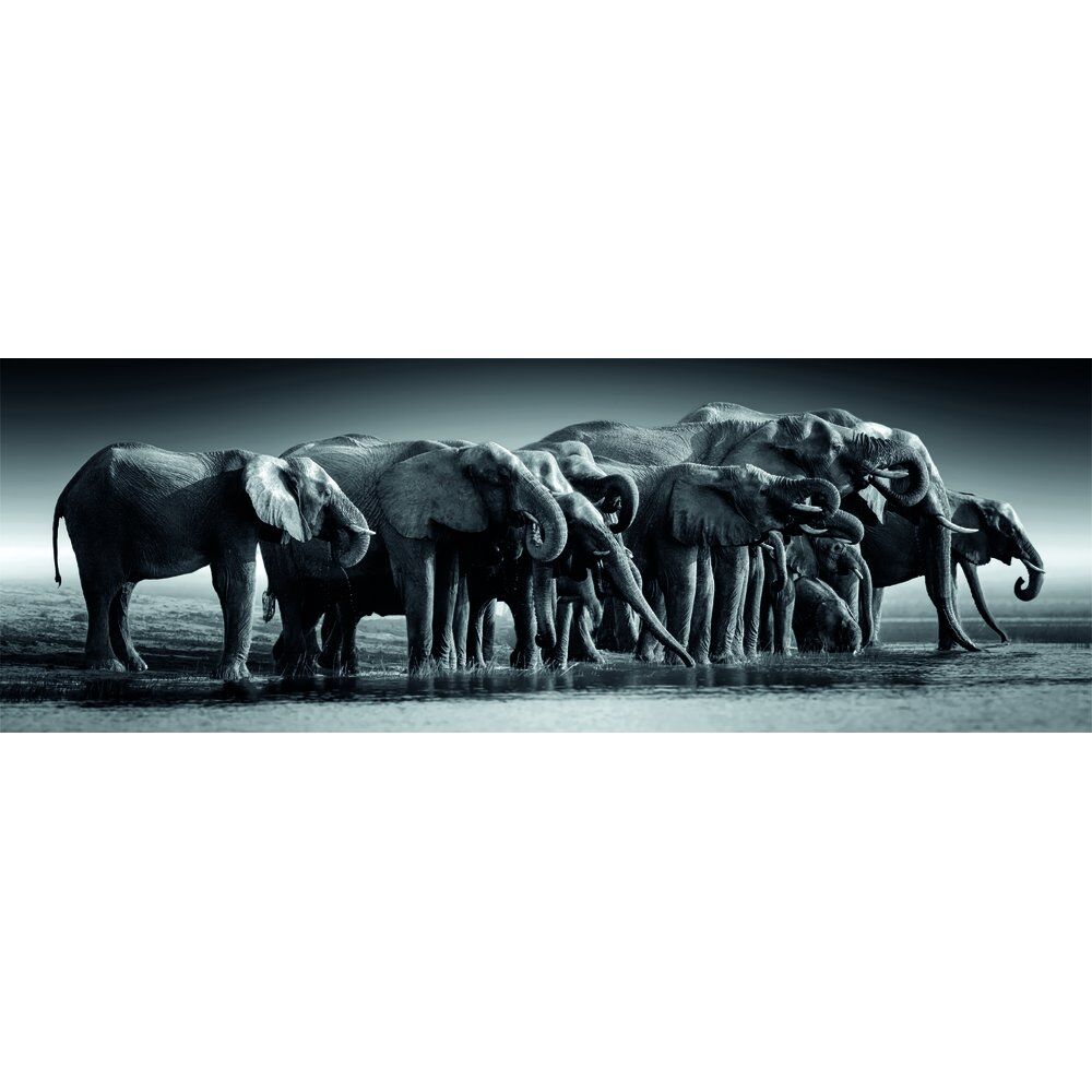 Image du puzzle panorama Herd of Giants de 1000 pièces par CLEMENTONI, montrant un troupeau d'éléphants majestueux dans leur habitat naturel