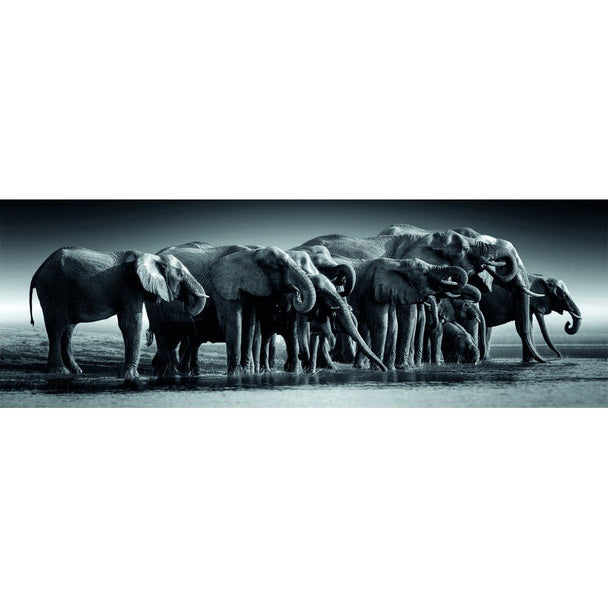 Image du puzzle panorama Herd of Giants de 1000 pièces par CLEMENTONI, montrant un troupeau d'éléphants majestueux dans leur habitat naturel