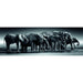 Image du puzzle panorama Herd of Giants de 1000 pièces par CLEMENTONI, montrant un troupeau d'éléphants majestueux dans leur habitat naturel