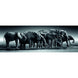 Image du puzzle panorama Herd of Giants de 1000 pièces par CLEMENTONI, montrant un troupeau d'éléphants majestueux dans leur habitat naturel