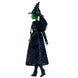 Vue rapprochée des cheveux longs tressés et de la peau verte caractéristique d'Elphaba