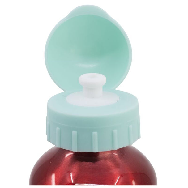 Bouteille en aluminium Disney Minnie 400ml vue de face avec illustration colorée de Minnie Mouse