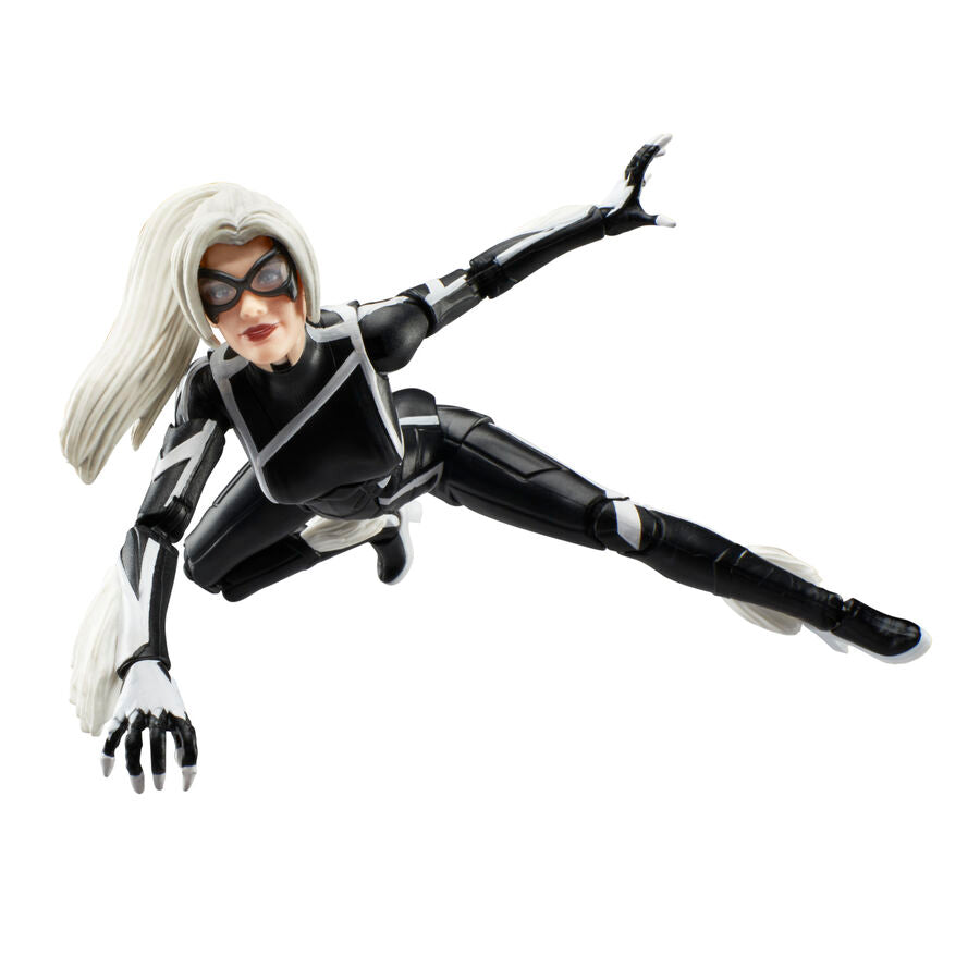 Vue de la boîte d'origine HASBRO contenant la figurine Black Cat 15 cm