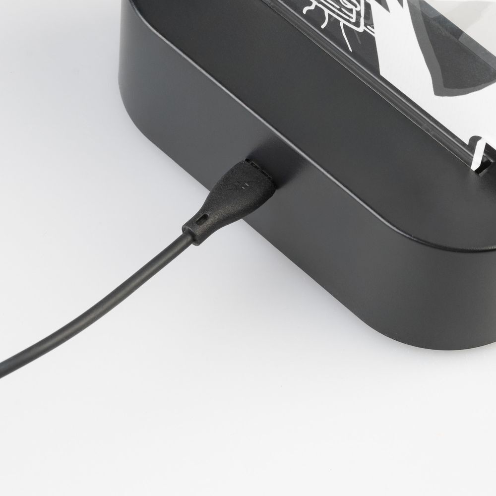 Emballage et présentation de la lampe LED Demon Slayer Kimetsu no Yaiba ERIK avec accessoires