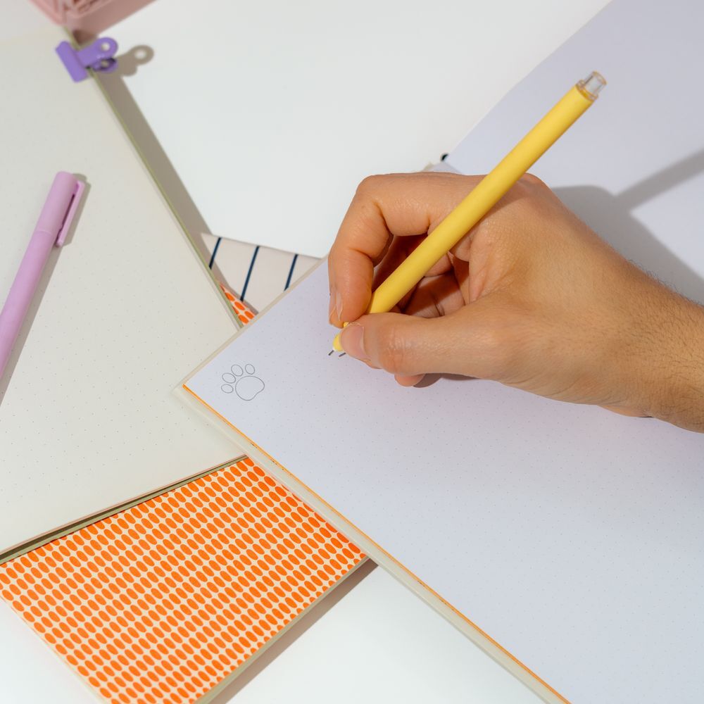 Packaging élégant du carnet Garfield A5 premium ERIK prêt à être offert