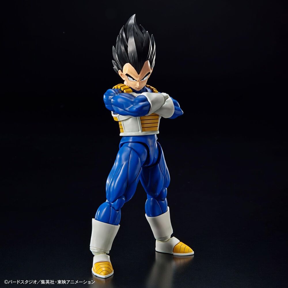 Présentation complète de la figurine Dragon Ball Vegeta Standard Re:Run avec tous ses points d'articulation