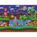 Photo détaillée des pièces du puzzle Sonic the Hedgehog éparpillées avant assemblage, mettant en valeur les couleurs vives