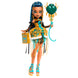 Accessoires inclus : ballon d'anniversaire aux couleurs Monster High