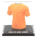 Gros plan sur les finitions acryliques et le design soigné de la figurine BANBO TOYS