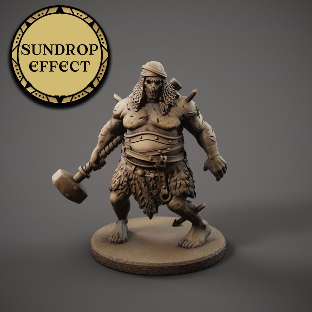 Le livret de règles ouvert, montrant des exemples de gameplay