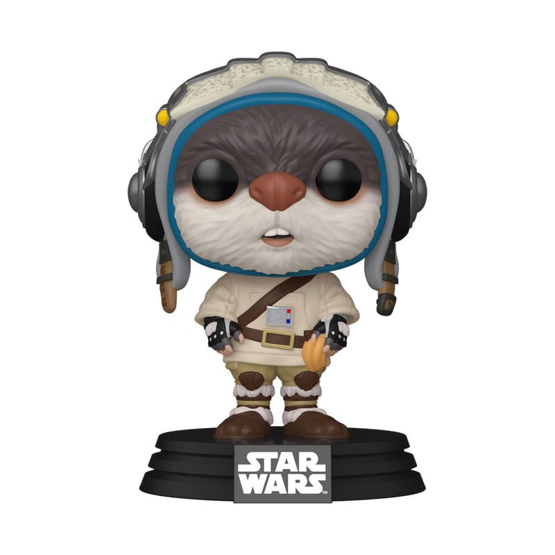 Figurine Funko POP! Bazil Star Wars Acolyte en boîte-fenêtre