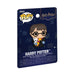 Exemple de pins Harry Potter Loungefly PVC collection