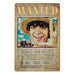 Lingot One Piece Luffy Wanted Poster FaNaTtik vue d'ensemble