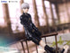 Comparaison de taille de la figurine 9S NieR:Automata avec un objet commun