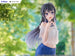 Statuette Rascal Does Not Dream of Bunny Girl Senpai - Vue du haut