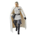 Détails des accessoires de la figurine Director Orson Krennic Star Wars Black Series