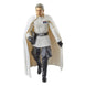 Détails des accessoires de la figurine Director Orson Krennic Star Wars Black Series