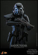 Figurine articulée Hot Toys Shadow Trooper 30 cm, vue d'ensemble