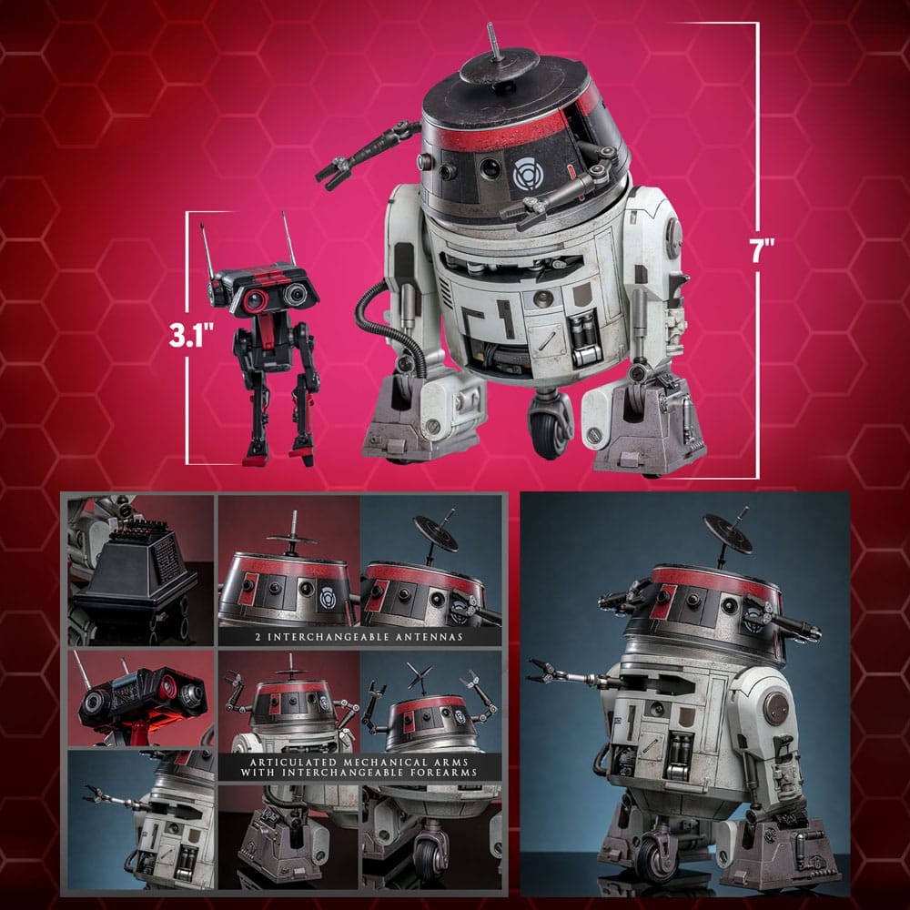Figurines Hot Toys Star Wars Chopper et BD-1 dans un environnement thématique