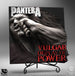 Statuette Pantera Vulgar Display of Power Knucklebonz 30cm vue de face