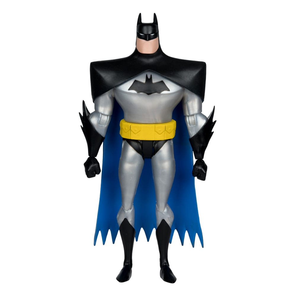 Boîte de l'assortiment McFarlane Batman Adventures