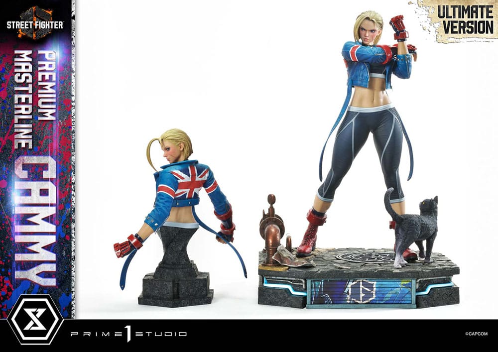 Présentation des différentes options d'affichage de la statuette Cammy